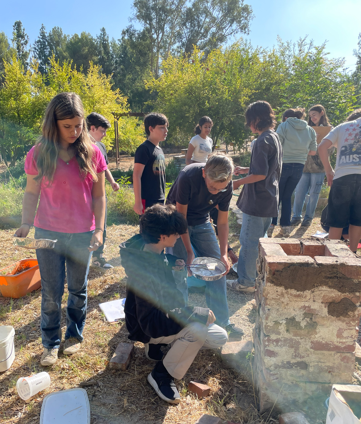 7th Grade Inorganic Chemistry Hands-on Learning