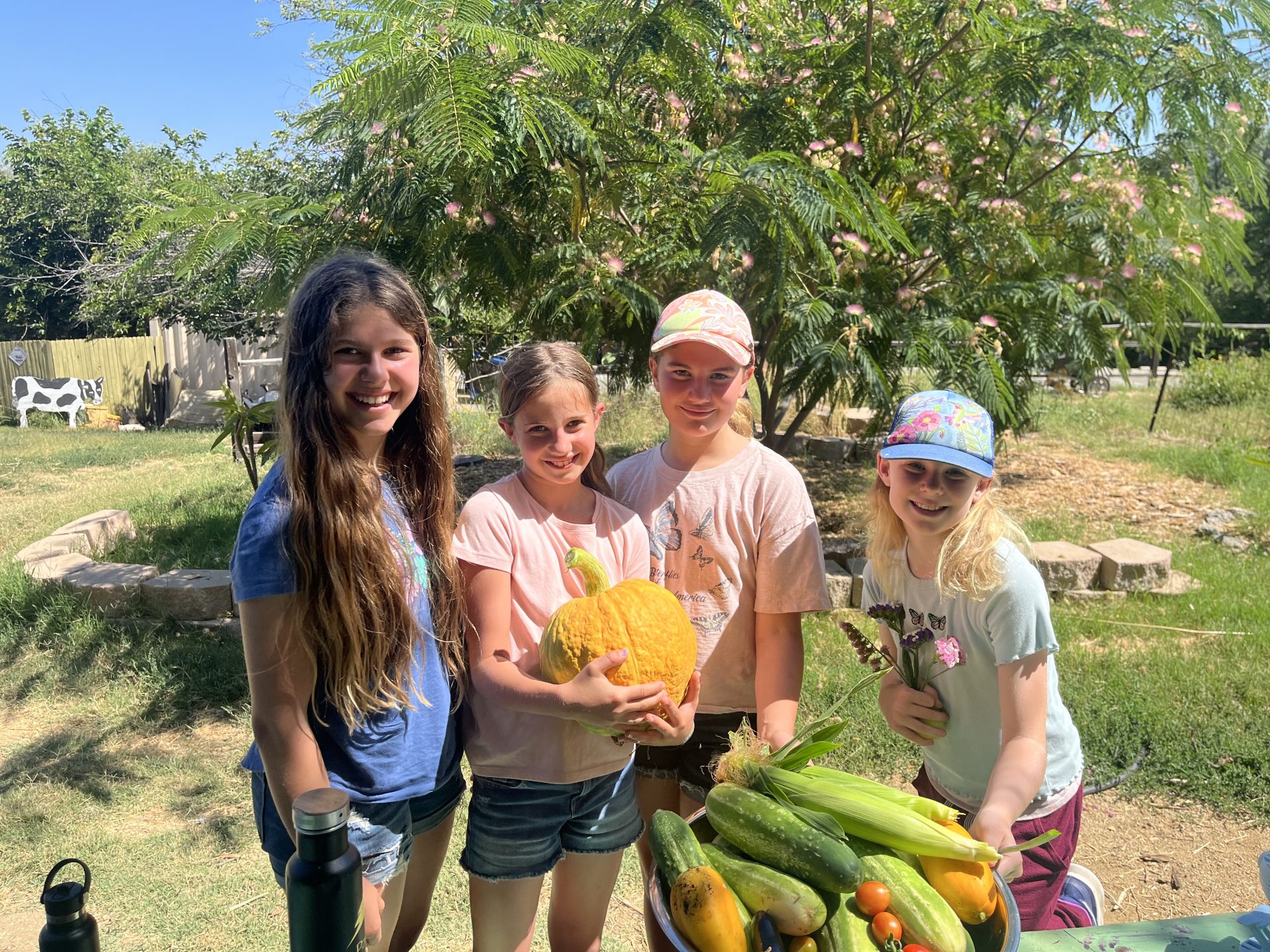 New 2026 Summer Camp Activities